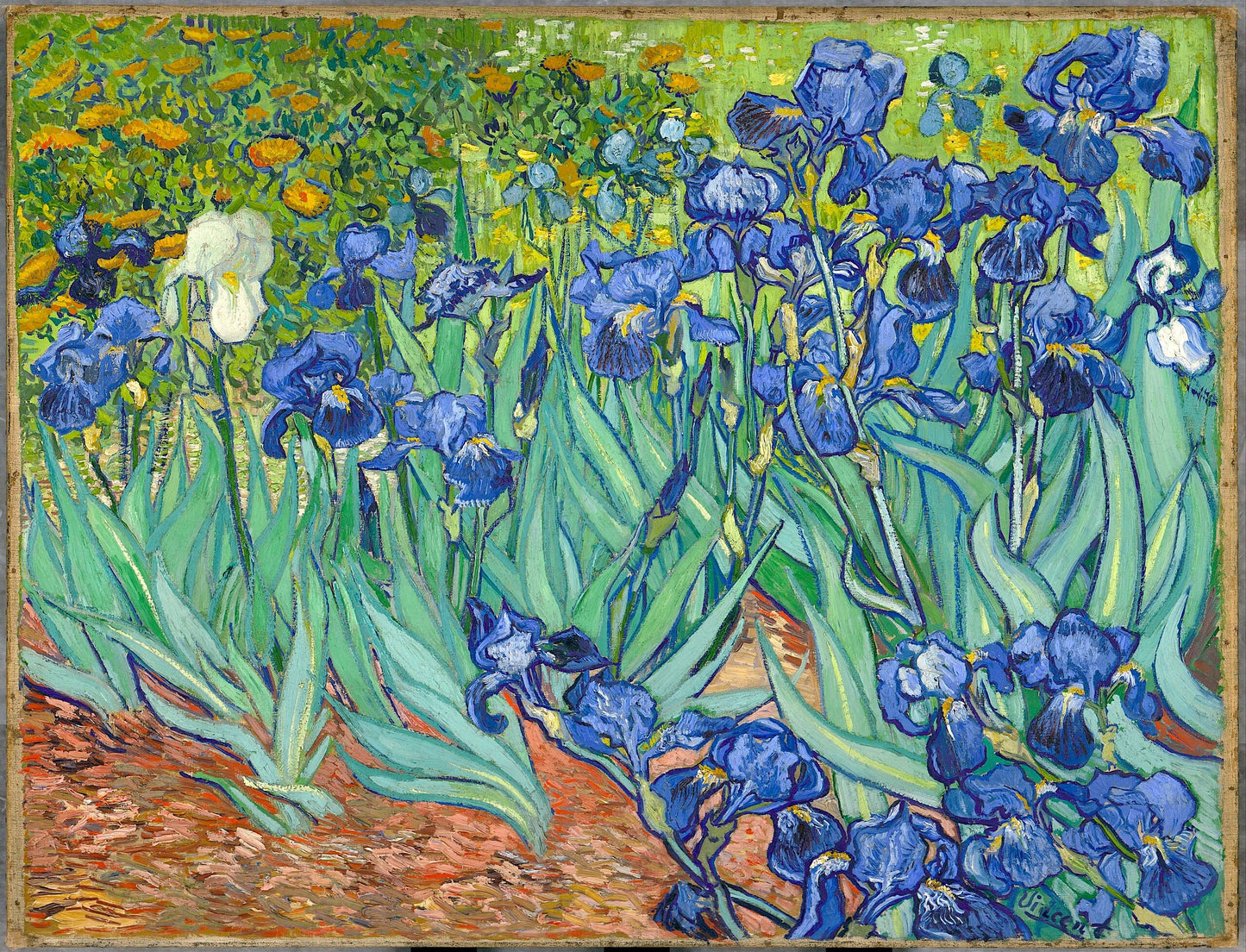 Irises-Vincent_van_Gogh-Art Print-ArtPrintsS