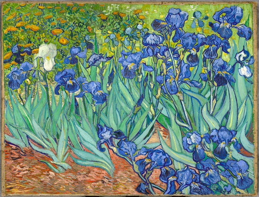 Irises-Vincent_van_Gogh-Art Print-ArtPrintsS