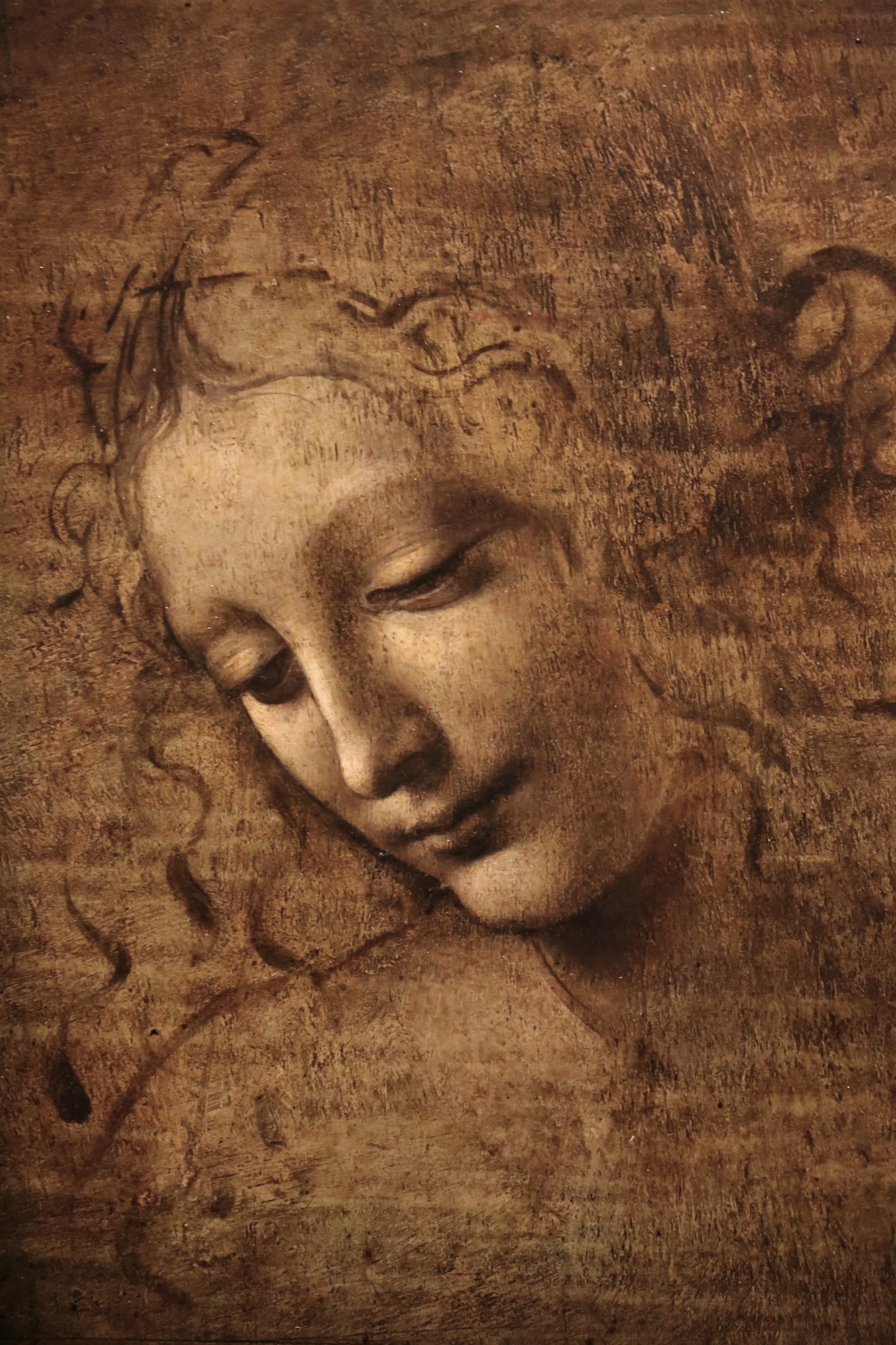 Leonardo da Vinci - La Scapigliata (Circa 1507)-Leonardo da Vinci-ArtPrintsS
