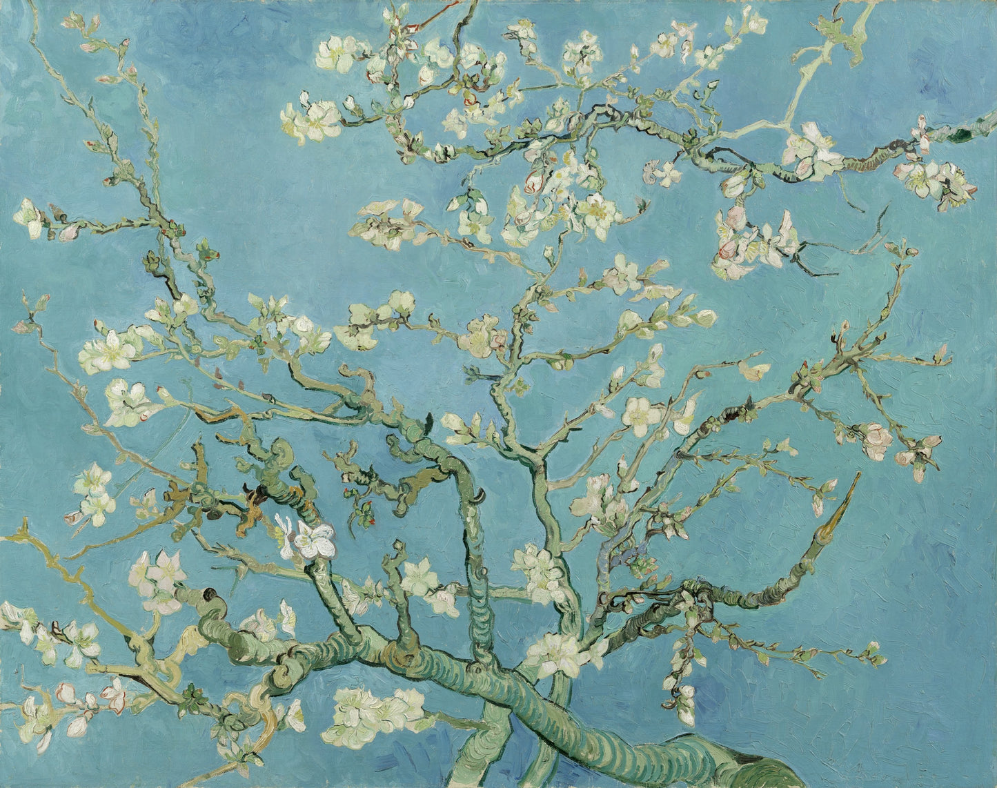 Van Gogh - Almond Blossoms (1890)-Vincent Van Gogh-ArtPrintsS