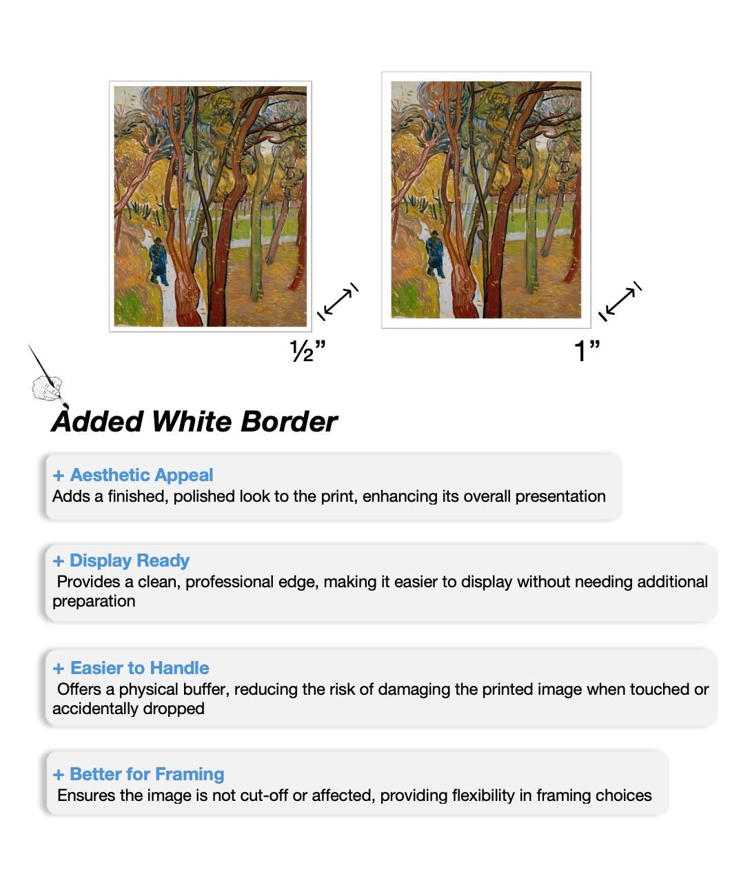 Two images of a forest scene with added white borders and text explaining the benefits of these borders.